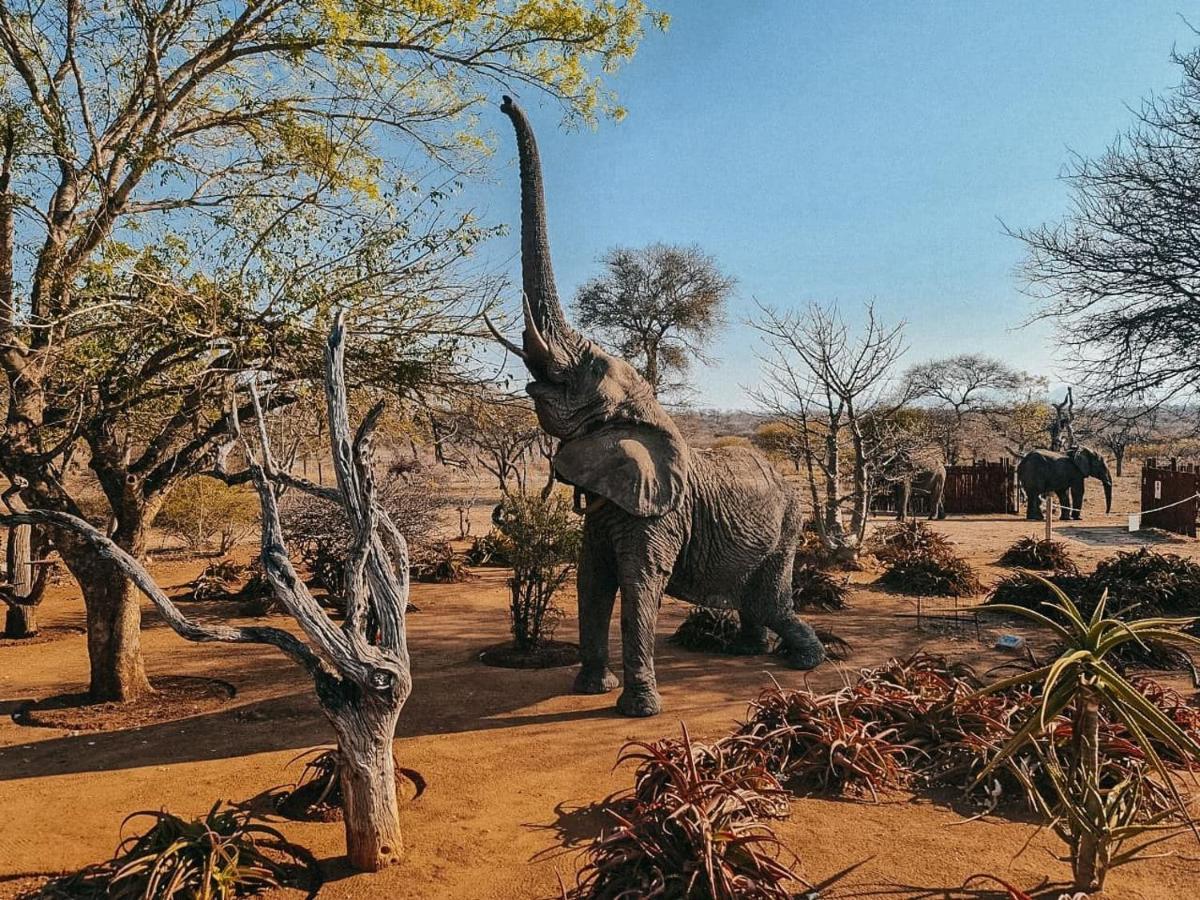 Tshukudu Game Lodge フッドスプルイト エクステリア 写真
