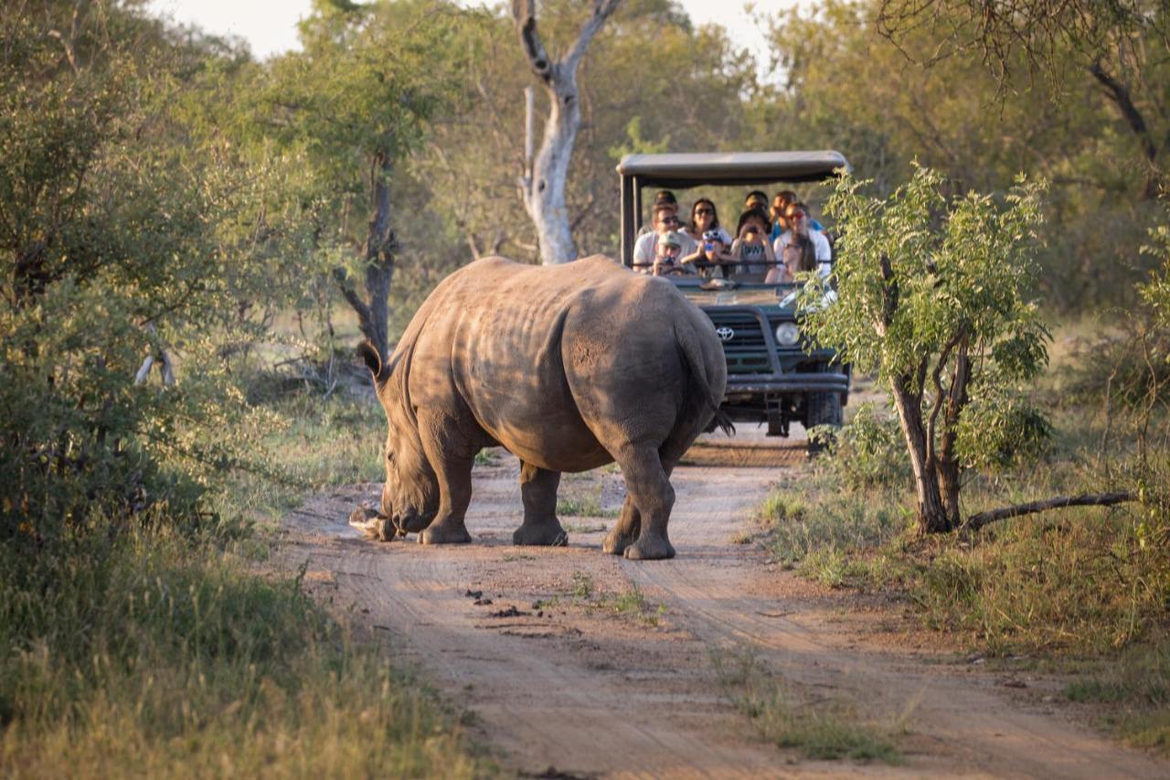 Tshukudu Game Lodge フッドスプルイト エクステリア 写真