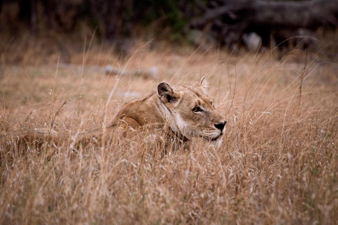 Tshukudu Game Lodge フッドスプルイト エクステリア 写真